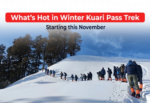 What’s Hot in Winter Kuari Pass Trek Starting this November